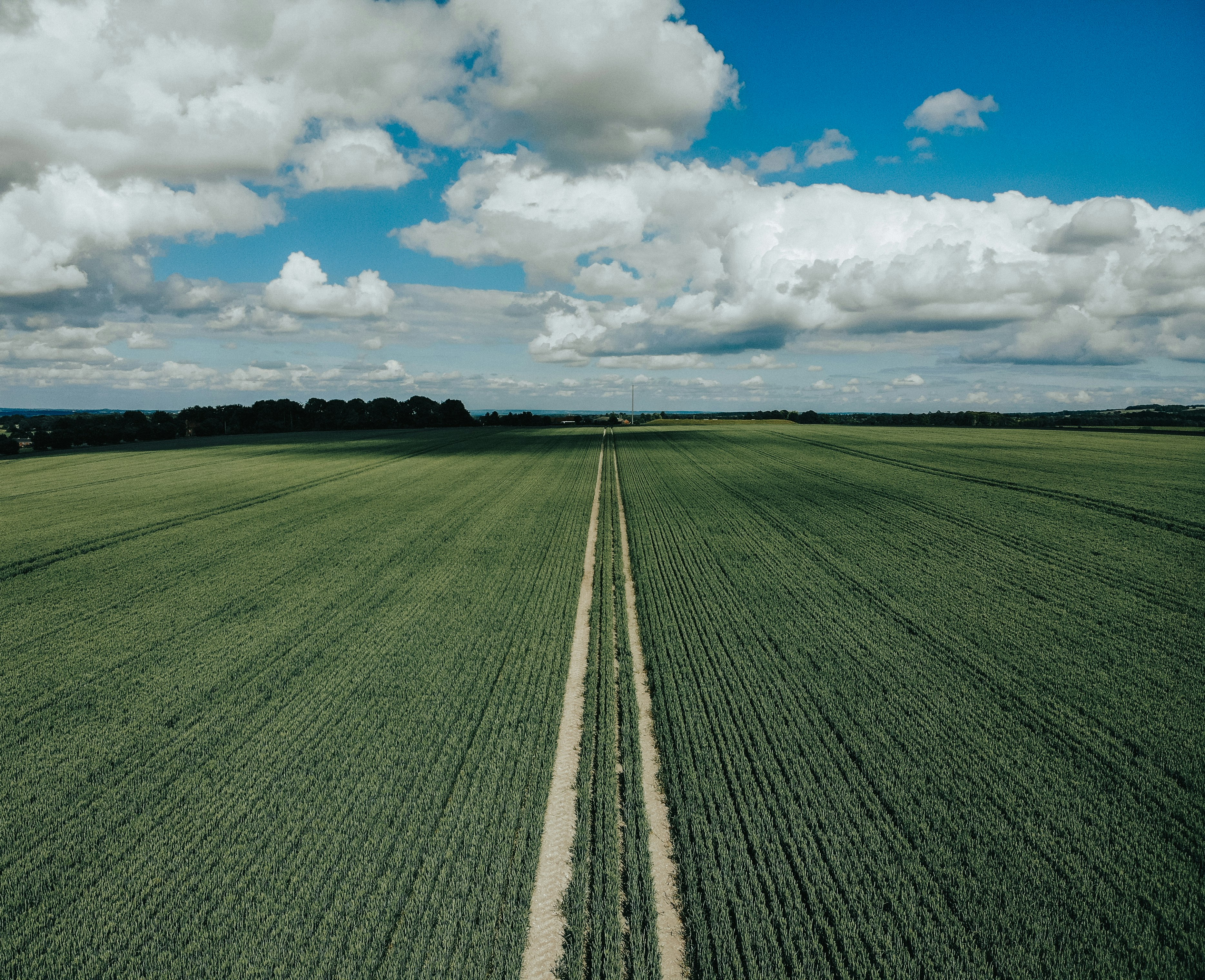 green grass field under blue sky and white clouds during daytime